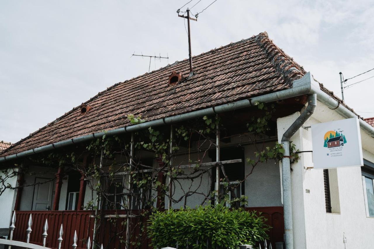 Casuta Andrey & Dan Villa Mihai Viteazu  Exterior photo