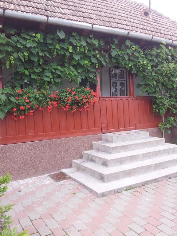 Casuta Andrey & Dan Villa Mihai Viteazu  Room photo